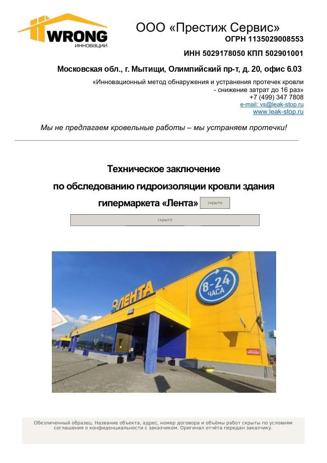 Образец технического заключения — «Лента»